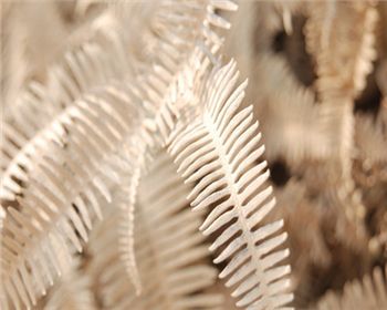 空氣改善需要靠污染源才能進(jìn)行轉(zhuǎn)移，這個(gè)真不能這樣下結(jié)論